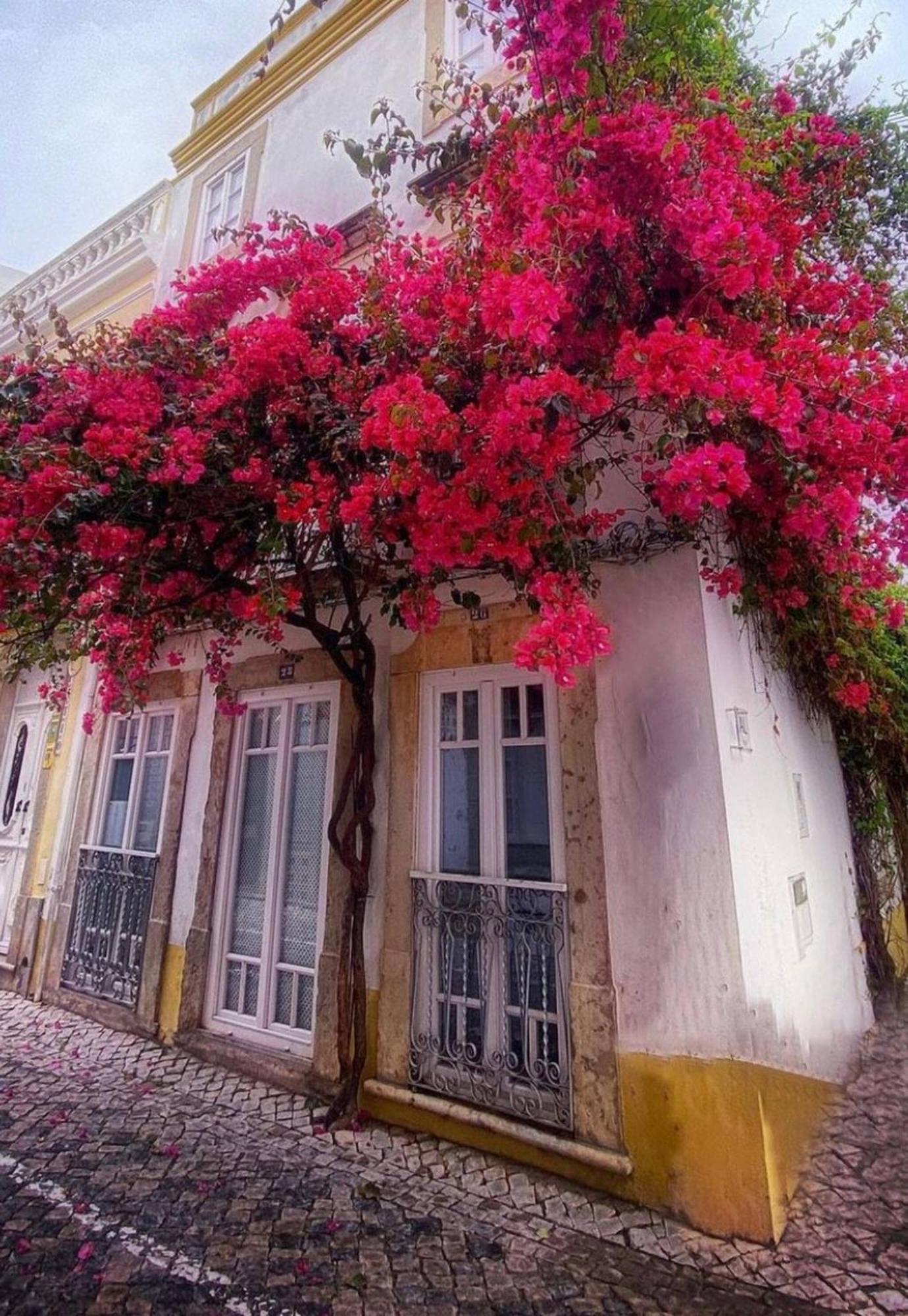 Chic Suite Sequa In Taviras Historical Centre Екстер'єр фото
